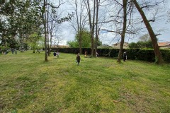 20260405-102051-Jc