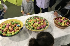 Chasse-aux-oeufs-2019-4